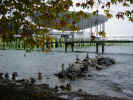 expo neuchatel 18.10.02 051.jpg (73524 Byte)