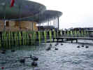 expo neuchatel 18.10.02 054.jpg (66277 Byte)