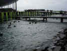 expo neuchatel 18.10.02 055.jpg (63431 Byte)