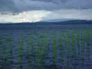 expo neuchatel 18.10.02 059.jpg (40787 Byte)