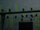 expo neuchatel 18.10.02 065.jpg (32052 Byte)