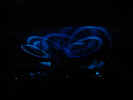 expo neuchatel 18.10.02 087.jpg (11639 Byte)